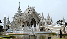 White temple and elephants tour
