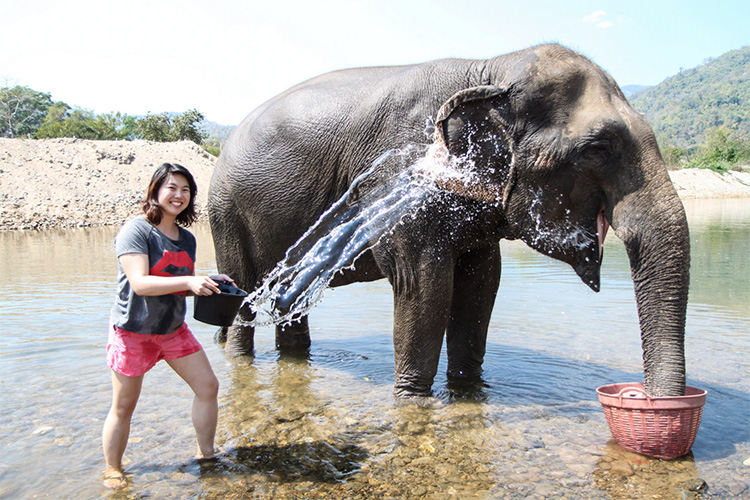 Bathing with the elephants