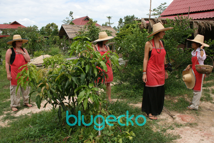 Thai Farm Cooking school Chiang Mai